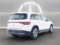 Mercedes-Benz 300 4M PROGRESSIVE ADVANCED LED+WINTER+RFK Weiß - thumbnail 2