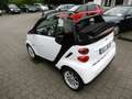 smart forTwo Aut. Cabrio Micro Hybrid Drive Klima Blanco - thumbnail 12