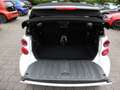 smart forTwo Aut. Cabrio Micro Hybrid Drive Klima Blanco - thumbnail 8