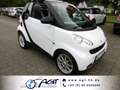 smart forTwo Aut. Cabrio Micro Hybrid Drive Klima Blanco - thumbnail 1