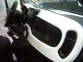 Fiat Panda Cross Pandina 1.0 FireFly Hybrid 5Posto Nuovo Mo Nero - thumbnail 26