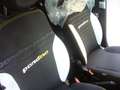 Fiat Panda Cross Pandina 1.0 FireFly Hybrid 5Posto Nuovo Mo Nero - thumbnail 28