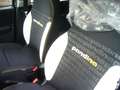 Fiat Panda Cross Pandina 1.0 FireFly Hybrid 5Posto Nuovo Mo Nero - thumbnail 19