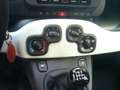 Fiat Panda Cross Pandina 1.0 FireFly Hybrid 5Posto Nuovo Mo Nero - thumbnail 24