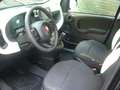 Fiat Panda Cross Pandina 1.0 FireFly Hybrid 5Posto Nuovo Mo Nero - thumbnail 13