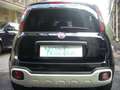 Fiat Panda Cross Pandina 1.0 FireFly Hybrid 5Posto Nuovo Mo Nero - thumbnail 11