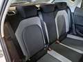 SEAT Ibiza 1.0 TGI 66KW STYLE 5 PORTE - thumbnail 11