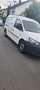 Volkswagen Caddy Caddy TDI 1.6 Maxi Weiß - thumbnail 4