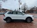 Volkswagen Tiguan |1. Hand|TFL|PDC|Touch|Shzg|AUX/USB! Weiß - thumbnail 8
