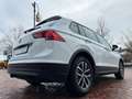 Volkswagen Tiguan |1. Hand|TFL|PDC|Touch|Shzg|AUX/USB! Weiß - thumbnail 7