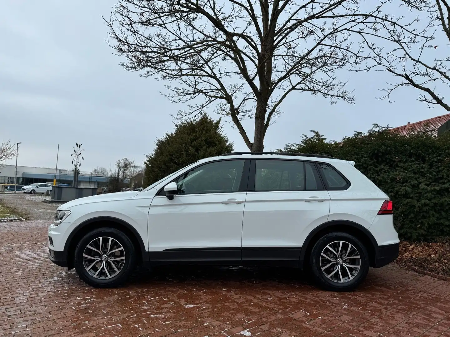 Volkswagen Tiguan |1. Hand|TFL|PDC|Touch|Shzg|AUX/USB! Weiß - 2