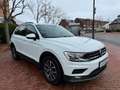 Volkswagen Tiguan |1. Hand|TFL|PDC|Touch|Shzg|AUX/USB! Weiß - thumbnail 9