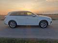 Audi Q7 Q7 2.0 Blanc - thumbnail 9