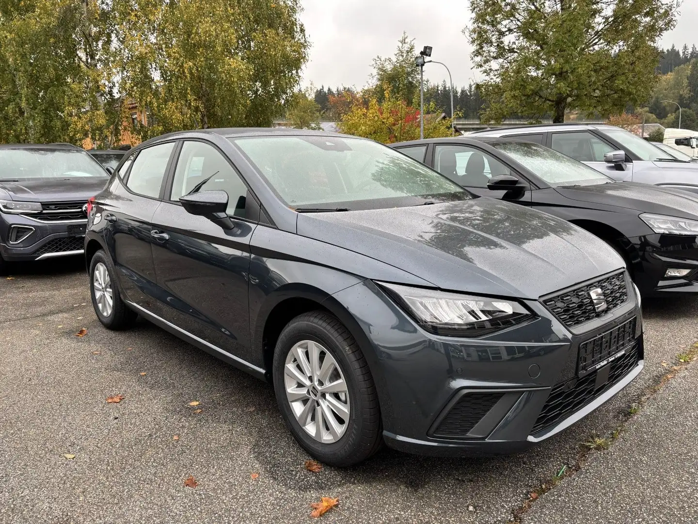 SEAT Ibiza Style Gris - 2