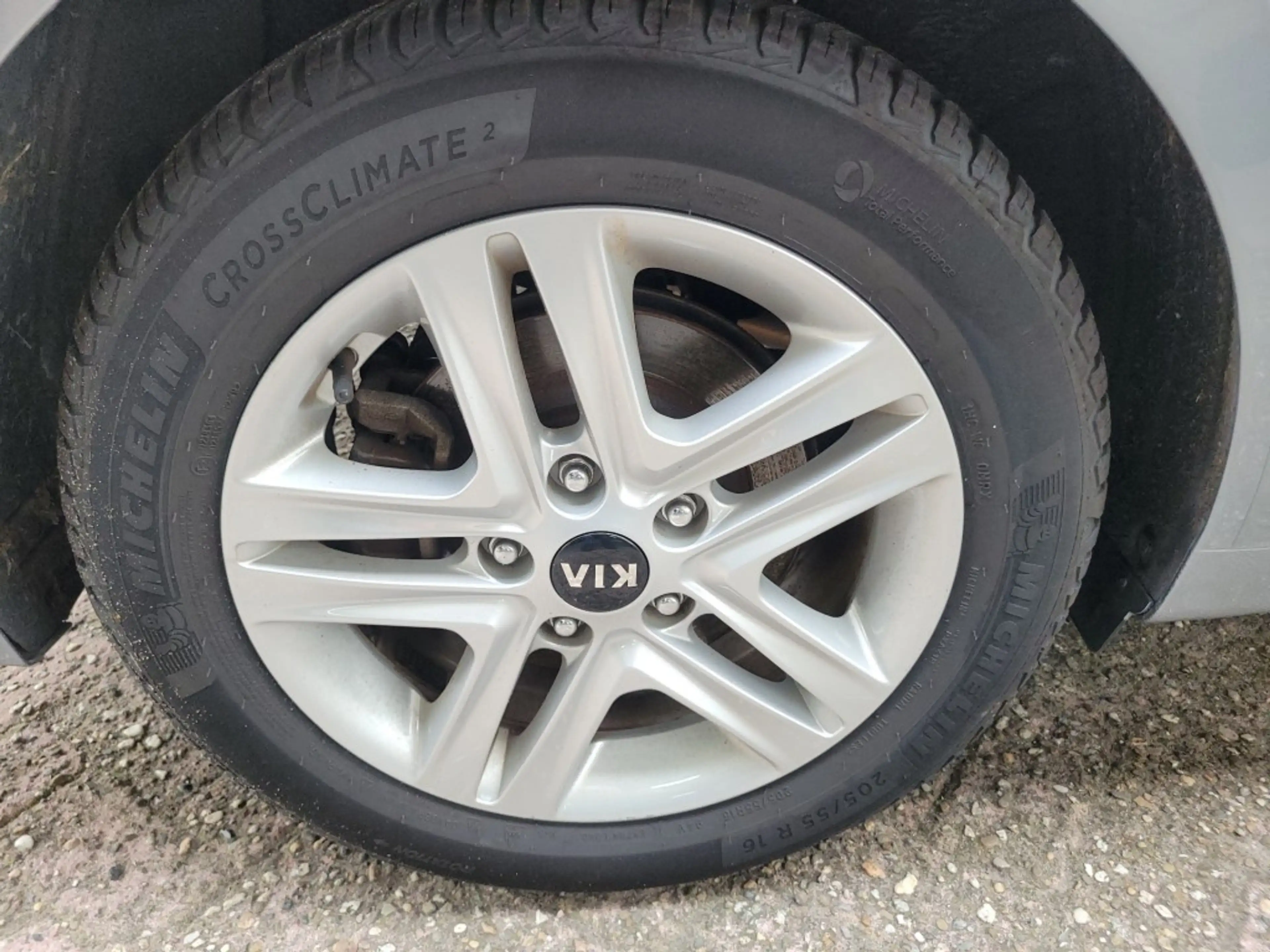 Kia Ceed / cee'd 1.5T-GDI  Dynamic Plusline — photo 13