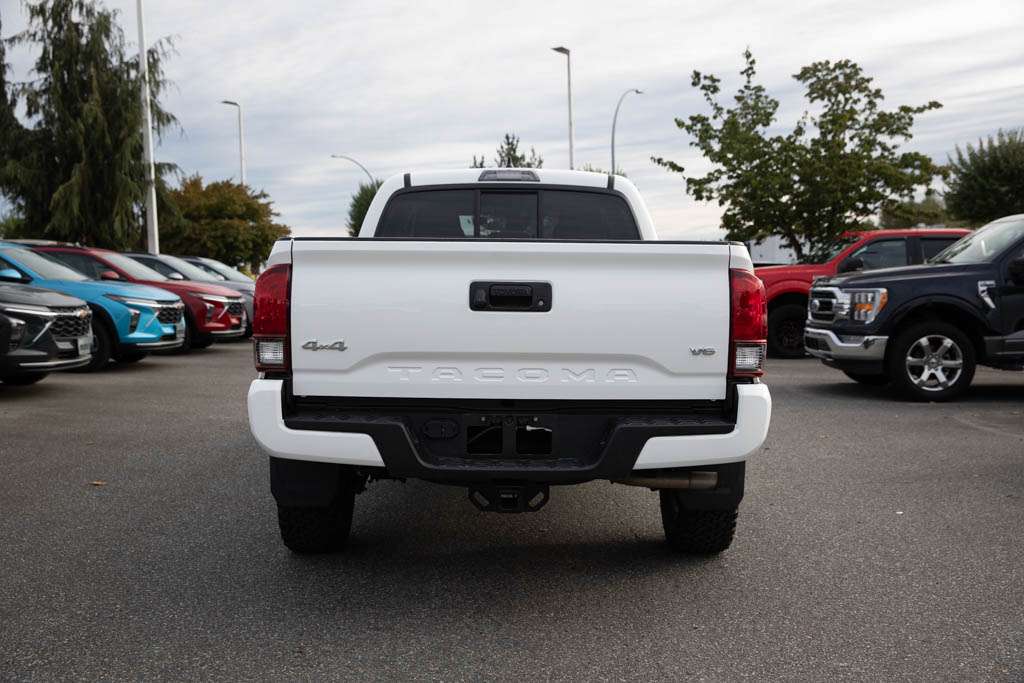 Image 5