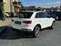 Audi Q3 2.0 TDI 150 CV quattro S tronic s-line Bianco - thumbnail 4