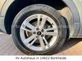 Audi Q3 45 TFSI e |LED|AHK|NAVI|ACC|LANE&SIDE ASSIST Grau - thumbnail 6