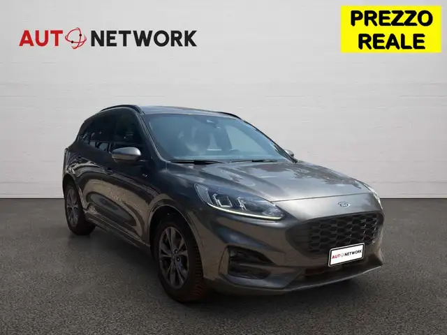 2024 Ford Kuga in Grey for sale