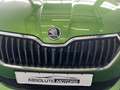 Skoda Fabia Cool Plus 1,0TSI *SHZ *CarPlay *Klima Grün - thumbnail 9