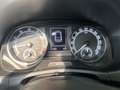 Skoda Fabia Cool Plus 1,0TSI *SHZ *CarPlay *Klima Grün - thumbnail 26