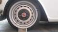 Triumph TR6 PI Overdrive Blanc - thumbnail 13
