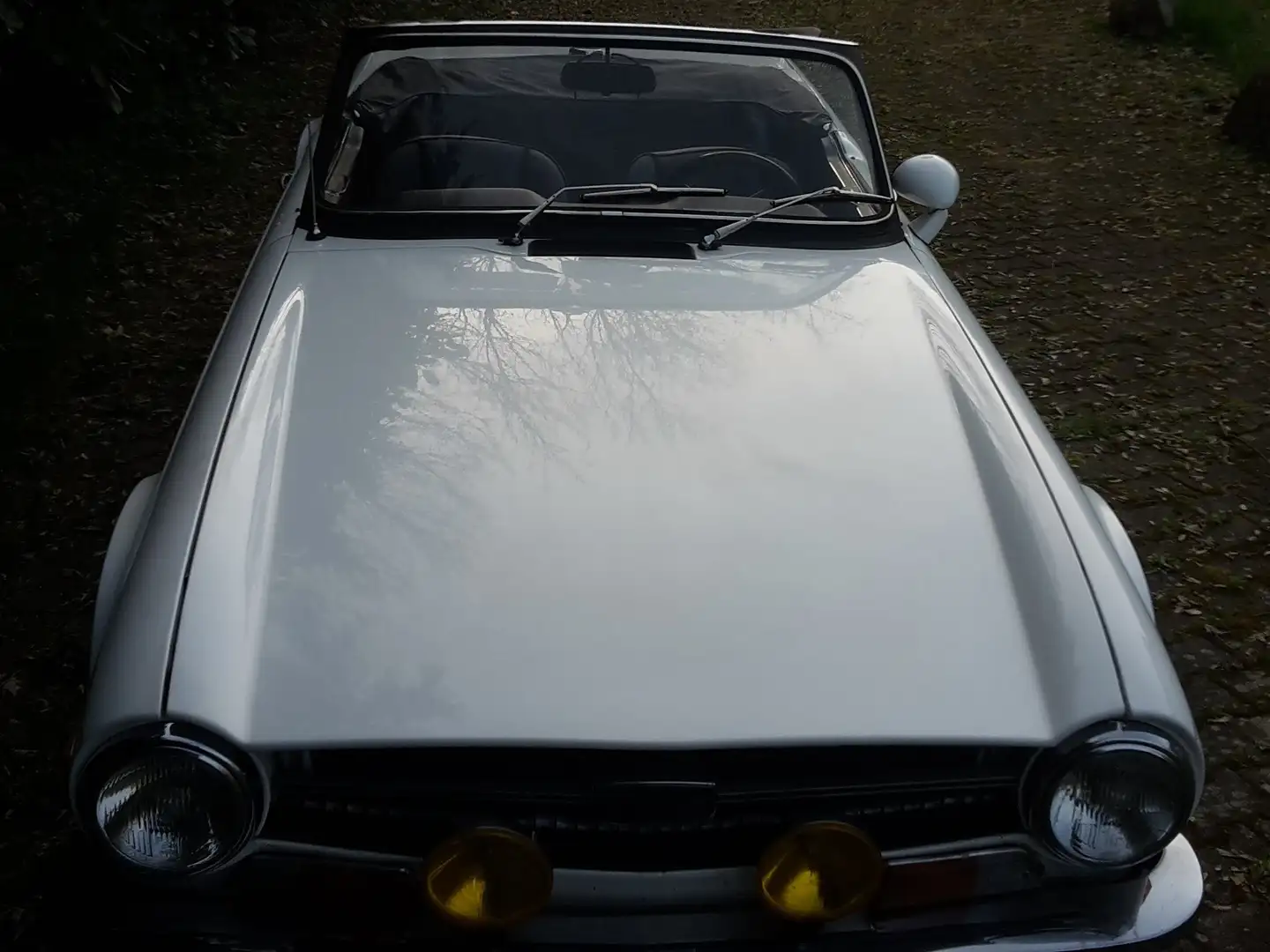 Triumph TR6 PI Overdrive Weiß - 1