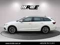 Skoda Octavia 2.0 TDI DSG *Sportsitz*Virtual*Keyless*LED*Lenkradheizung Weiß - thumbnail 9