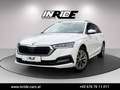 Skoda Octavia 2.0 TDI DSG *Sportsitz*Virtual*Keyless*LED*Lenkradheizung Weiß - thumbnail 2