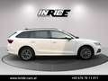 Skoda Octavia 2.0 TDI DSG *Sportsitz*Virtual*Keyless*LED*Lenkradheizung Weiß - thumbnail 5