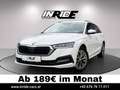 Skoda Octavia 2.0 TDI DSG *Sportsitz*Virtual*Keyless*LED*Lenkradheizung Weiß - thumbnail 1