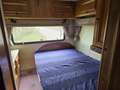 GMC Sonstige Wohnmobil Allegro Alluminium - thumbnail 15
