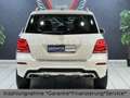 Mercedes-Benz GLK 220 GLK220 4Matic*1.Hd*Automatik*AMG-Paket*AHK*Navi* Weiß - thumbnail 5