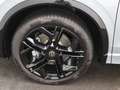 Volkswagen Tiguan R-Line Black 2.0 TDI 4M DSG / Pano, AHK Silber - thumbnail 16