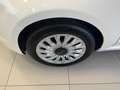 Fiat 500 500 1.0 hybrid Dolcevita 70cv Weiß - thumbnail 13