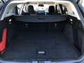 Ford Focus 407 Focus Turnier 1.0 EcoBoost Hybrid Titanium Grau - thumbnail 12