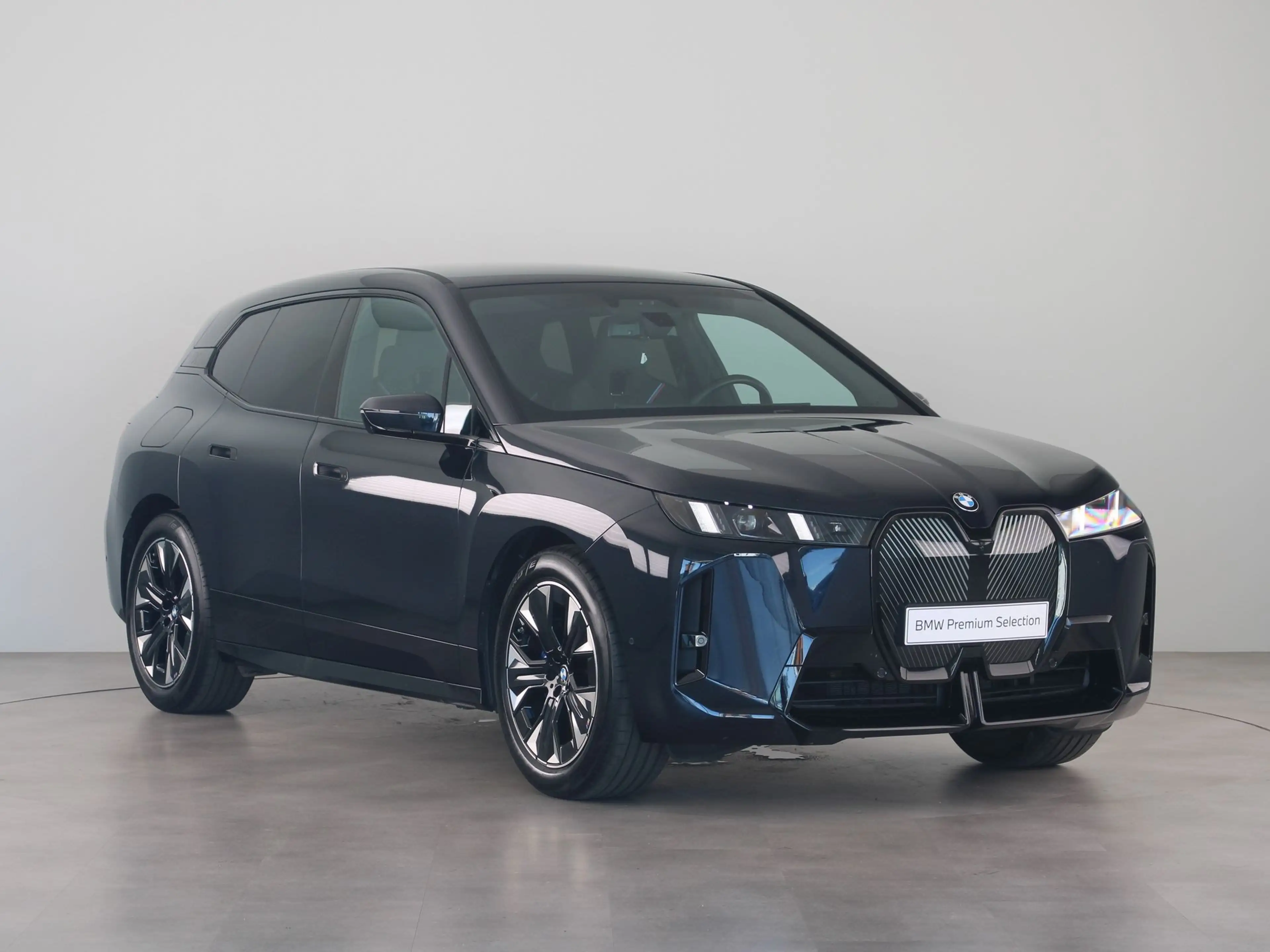 BMW iX xDrive45 101 kWh — photo 8