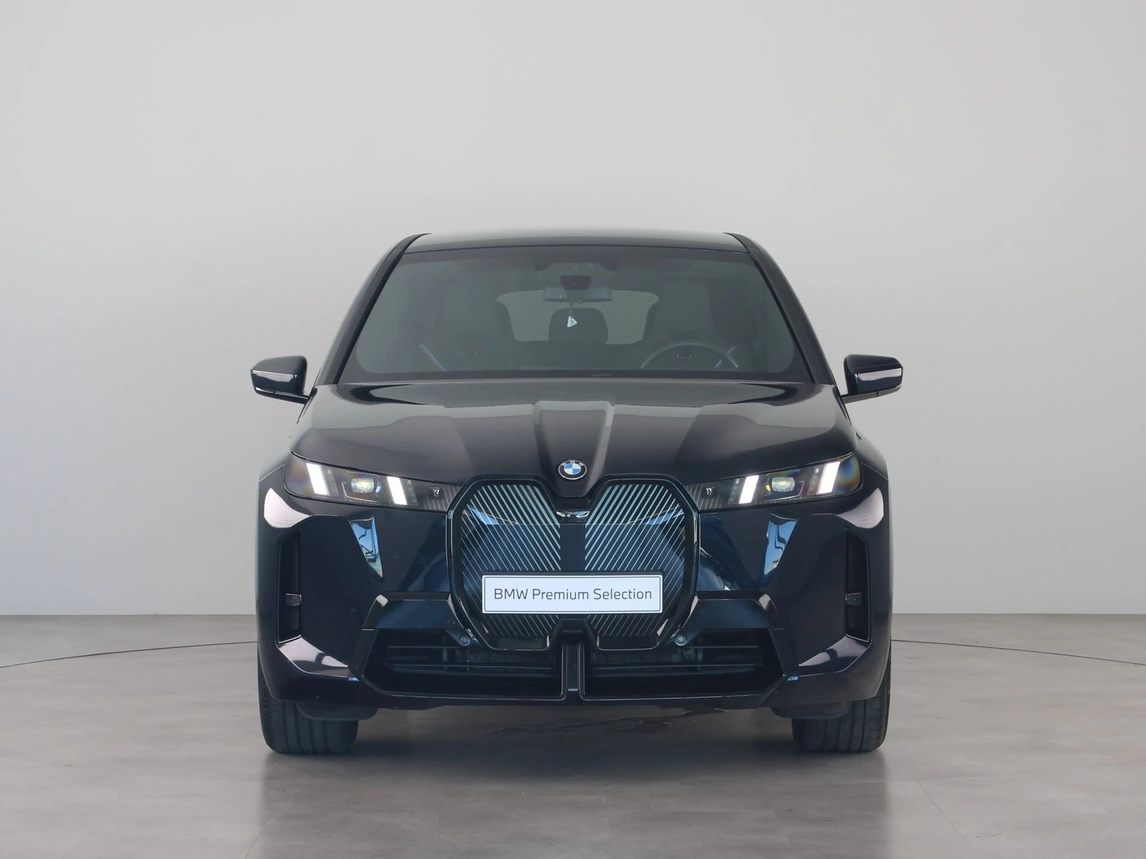 BMW iX xDrive45 101 kWh — photo 7
