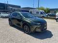 Lexus NX 350h 350 Hybrid 4WD Premium Groen - thumbnail 3