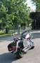 Yamaha XVZ 1300 Brun - thumbnail 6