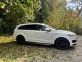 Audi Q7 3.0 TDI DPF quattro tiptronic - thumbnail 3