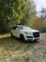 Audi Q7 3.0 TDI DPF quattro tiptronic - thumbnail 1