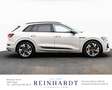 Audi e-tron 50 2x S LINE BLACK ACC/HuD/AHK/NACHT/360° Beige - thumbnail 8