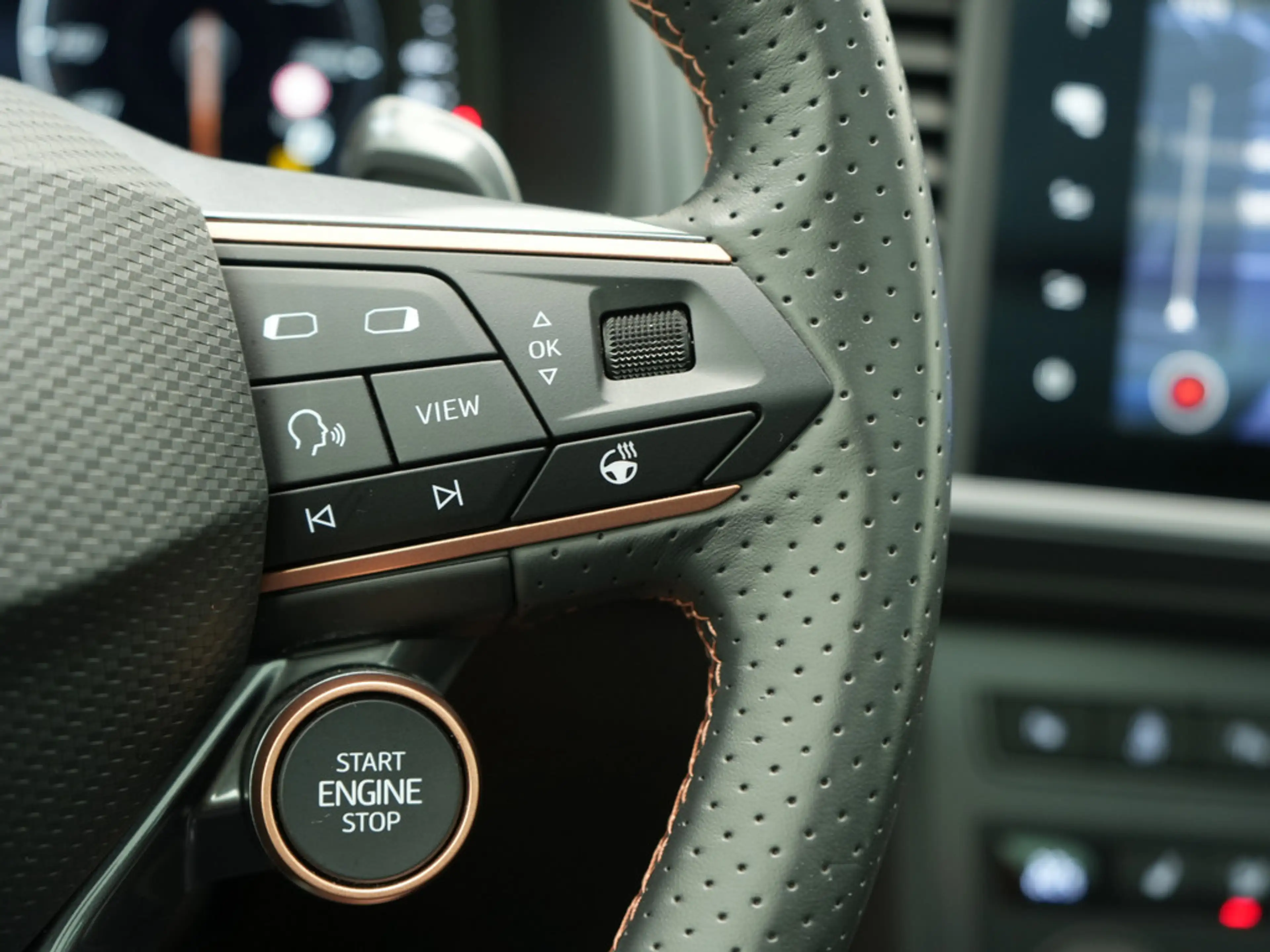 CUPRA Ateca VZ 4Drive DSG ACC DCC 360° AHK MEMORY KAM — photo 14