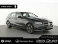 Mercedes-Benz C 300 Te Avantgarde Memory Ambiente Totwinkel Grau - thumbnail 16