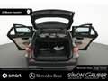 Mercedes-Benz C 300 Te Avantgarde Memory Ambiente Totwinkel Grau - thumbnail 21