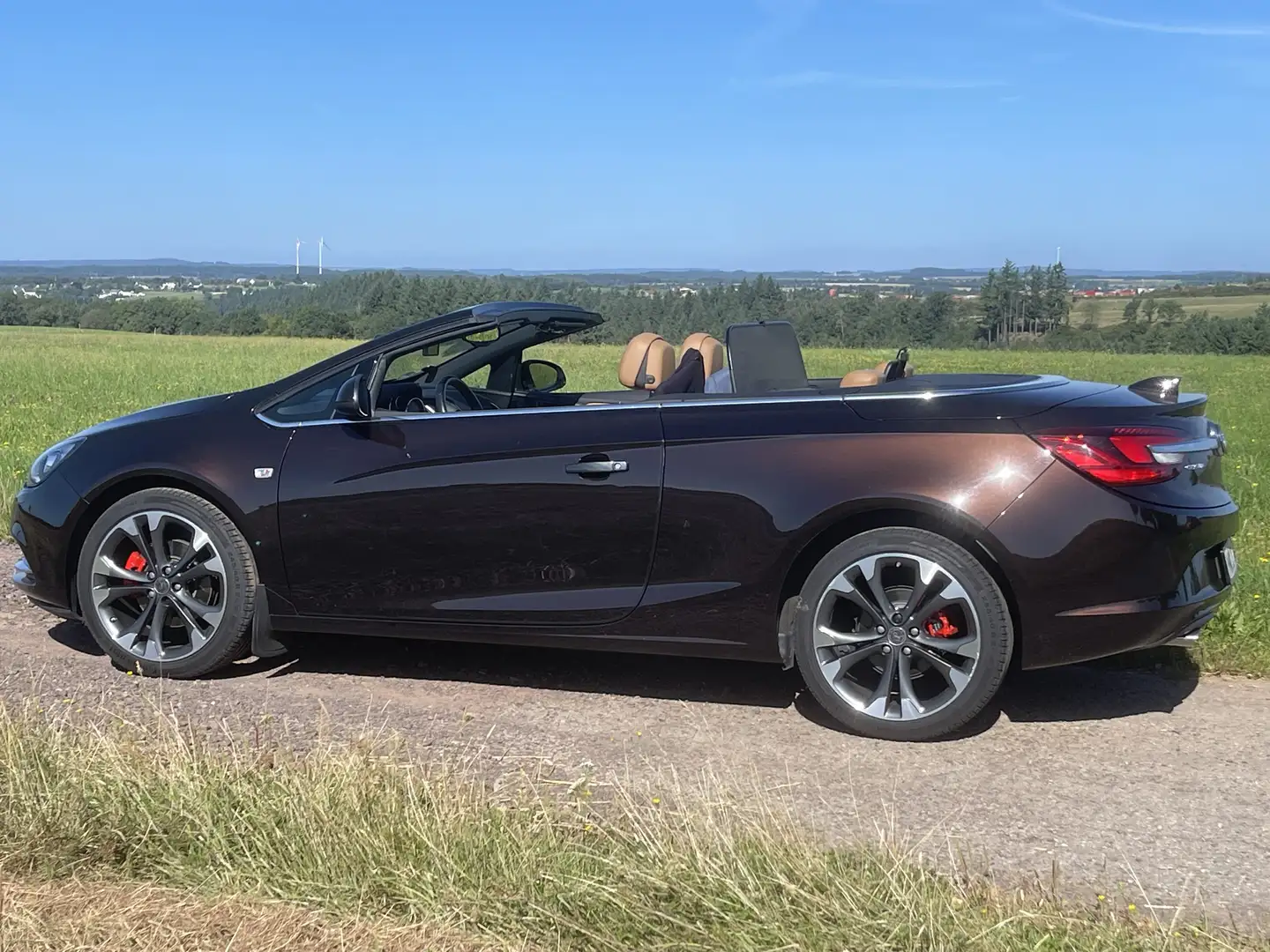 Opel Cascada Cascada 1.6 DI Turbo Start/Stop Ultimate Коричневый - 1