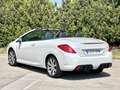 Peugeot 308 CC 2.0HDI FAP Active Bianco - thumbnail 6