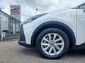 Toyota C-HR 1.8 HV Active Bianco - thumbnail 9