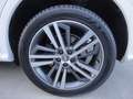 Audi Q5 Q5 2.0 TDI 190 CV quattro S tronic Business Sport Bianco - thumbnail 12